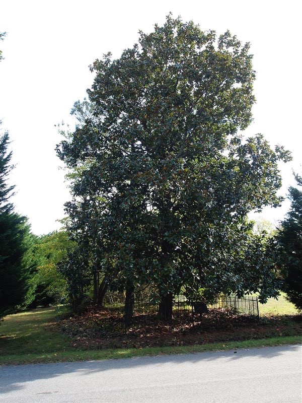Jean Pierre Bondurant gravesite