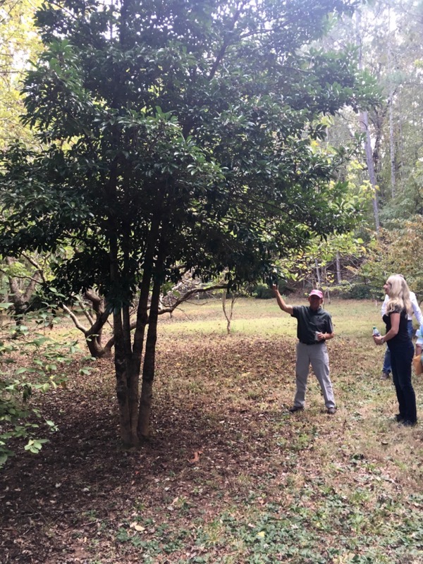 Bruce Shows His Trees