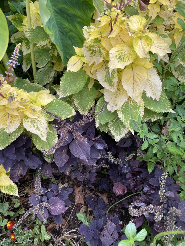 Reynolda Gardens at Wake Forest