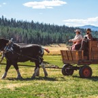 Chuckwagon Lunch.jpeg